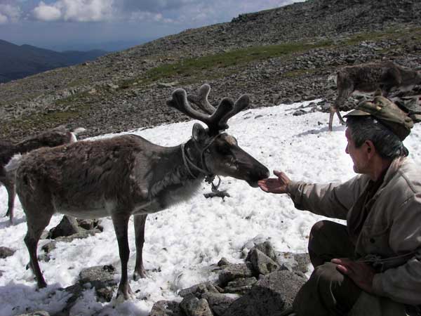 Валерий Холямоев общается с оленями